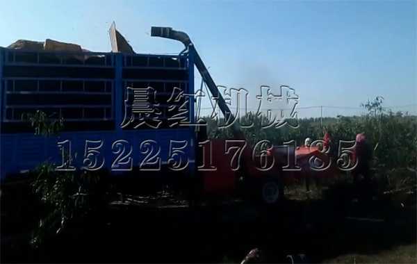 江苏连云港的大型木材粉碎机工作现场